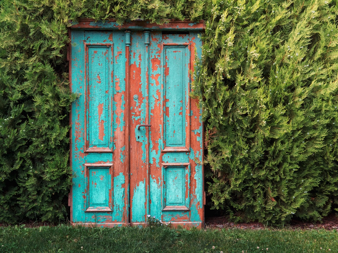 איך להעלים כתבה שלילית מגוגל - מדריך מעשי לשמירה על המוניטין שלך