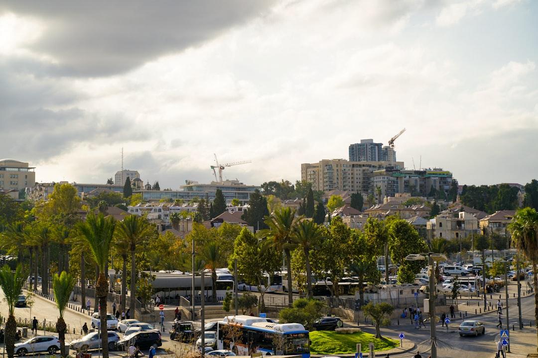 בדיקת מוניטין לעסקים: המדריך המקצועי המלא לשנת 2025